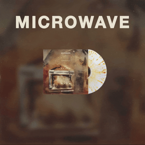 GIF by Pure Noise Records