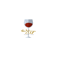 Wine Vino Sticker by DO Catalunya