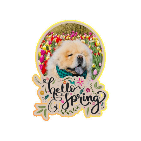 Dogs Spring Sticker by Milagency