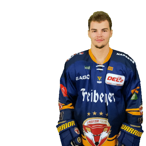 Sport Hockey Sticker by Lausitzer Füchse