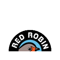 redrobinrecords red robin red robin records redrobinrecords red robin coffee Sticker