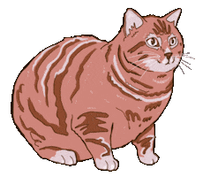 milario cat excited pink red Sticker