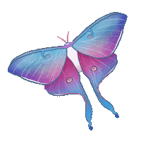 Luna Moth Queer Sticker by Contextual.Matters