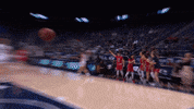 Womens Basketball Reaction GIF by Gonzaga Bulldogs