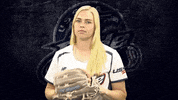 Florida Softball GIF by USSSA Pride
