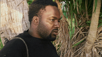 Tribe Reaction GIF by Survivor CBS