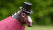 skintdressagedaddy angry mad horse prince GIF