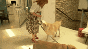 kathy griffin dog GIF by WHOSAY