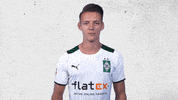 Wolf Bmg GIF by Borussia Mönchengladbach