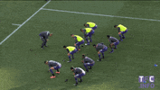 ligue 1 dancing GIF by Toulouse Football Club