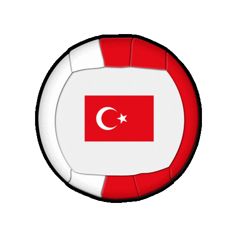 Ball Europe Sticker by Swiss Dodgeball