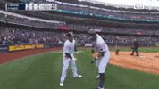 Celebrate Home Run GIF by MLB