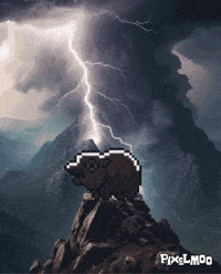 Top Rising GIF
