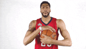 anthony davis the brow GIF by NBA