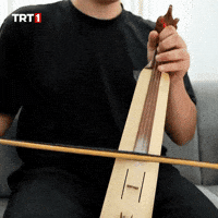 Dance Celebrate GIF by TRT