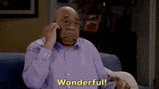 Happy Thats Great GIF by CBS
