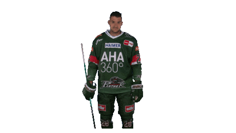 aevpanther giphyupload celebration goal hockey Sticker