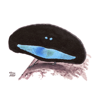 Bird Cenderawasih Sticker by econusa