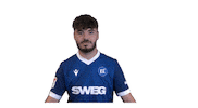 Soccer Goal Sticker by Karlsruher SC