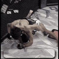 Gold GIF