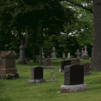 Dying Rest In Peace GIF by Blake Lively Fan