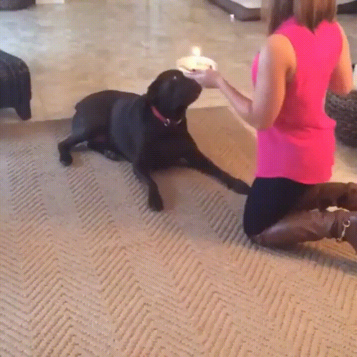 happy day GIF