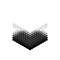 looping GIF by slater