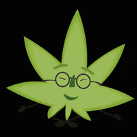 greenbrothers cannabis maconha weedlovers greenbrothers GIF