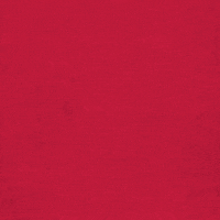 world cup win GIF by Red Bull