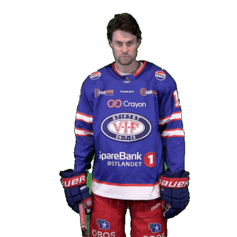 Matchday Magnus Sticker by VIF Hockey