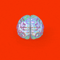 Losing My Mind What GIF by Olga