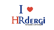 hrdergi hr human resources ik eğitim Sticker