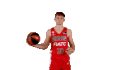 Liga Endesa Basketball Sticker by ACB