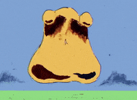 peach GIF by BROODS