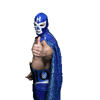 maskadorestacoshopaz wrestling wrestler lucha lucha libre Sticker