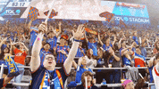Major League Soccer Sport GIF by FC Cincinnati