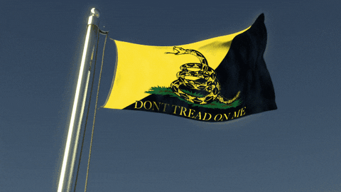 liberancaps giphyupload ancap GIF