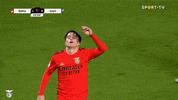 Angry Sl Benfica GIF by Sport Lisboa e Benfica