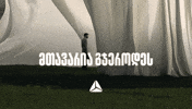 თიბისი GIF by TBC Bank