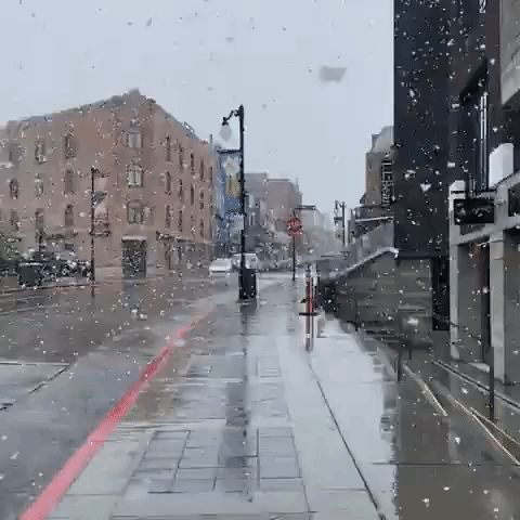 June Snowflakes Fall in Park City, Utah
