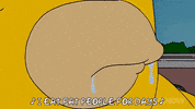 Episode 4 GIF by The Simpsons