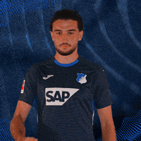 Sport Bundesliga GIF by TSG Hoffenheim