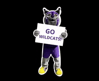 stkate  GIF