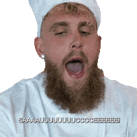 Jakepaul Sticker by Dog Haus