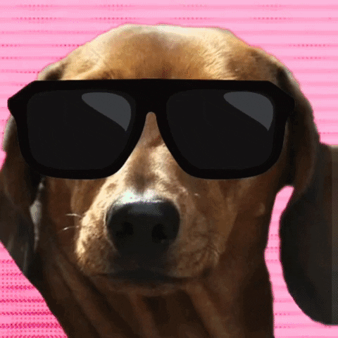 magicspells giphygifmaker magic spells magicspells GIF