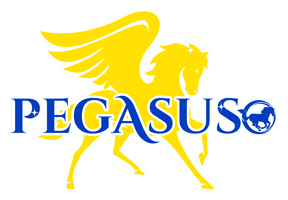 Team Cheerleader Sticker by Mustang Cheer
