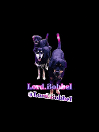 LordBobbel dog dogs max maya GIF