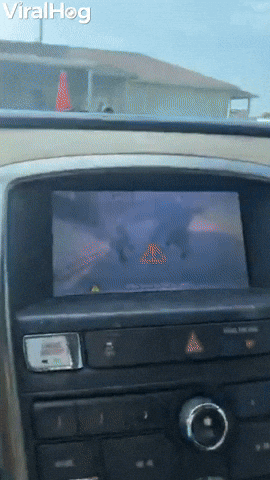 Goat Herd Keeps Car From Leaving GIF by ViralHog