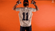 Uvamenslax GIF by Virginia Athletics