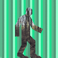 Walk Woods GIF by Trevor Anderson